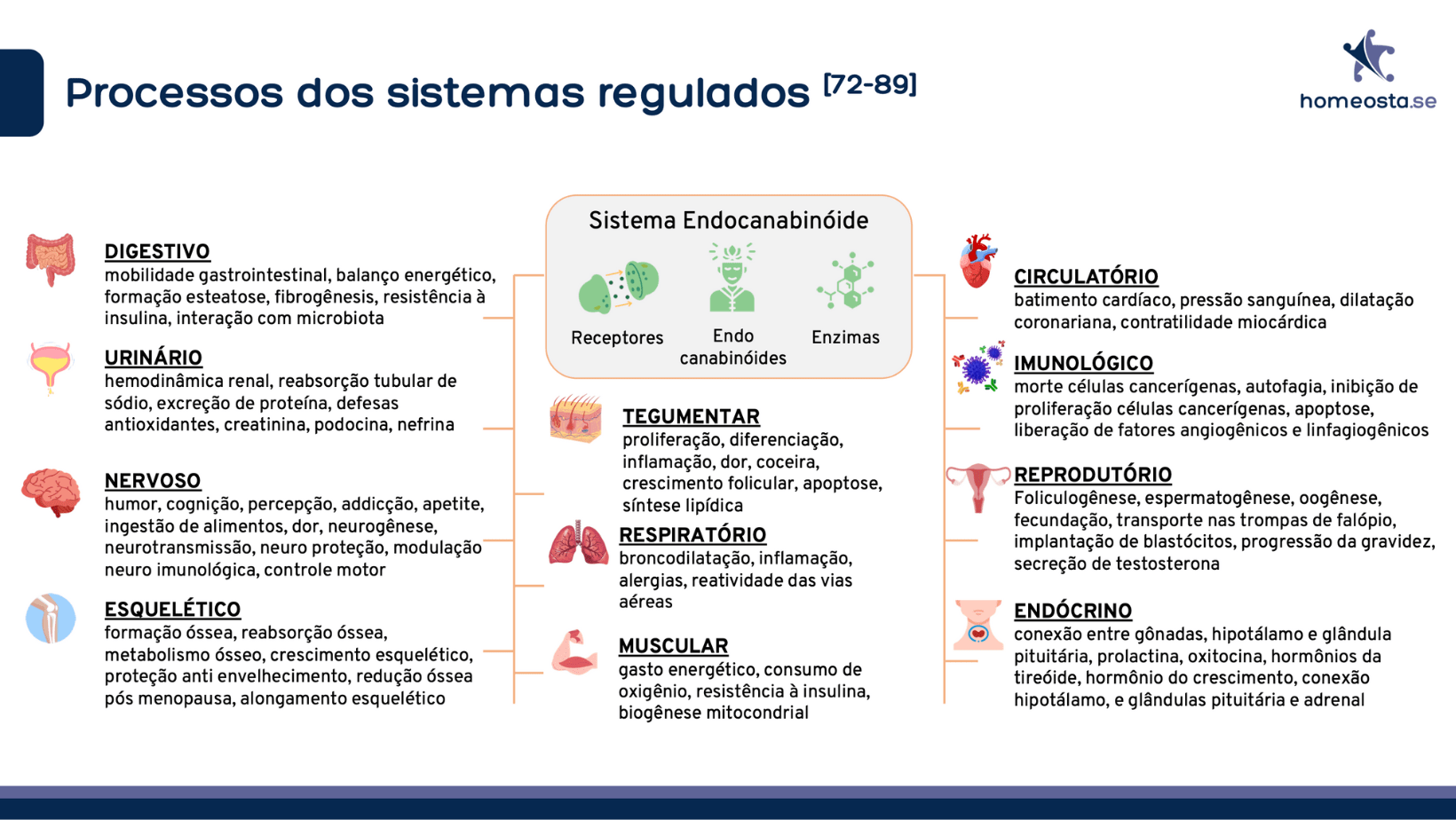 processo-dos-sistemas-regulados