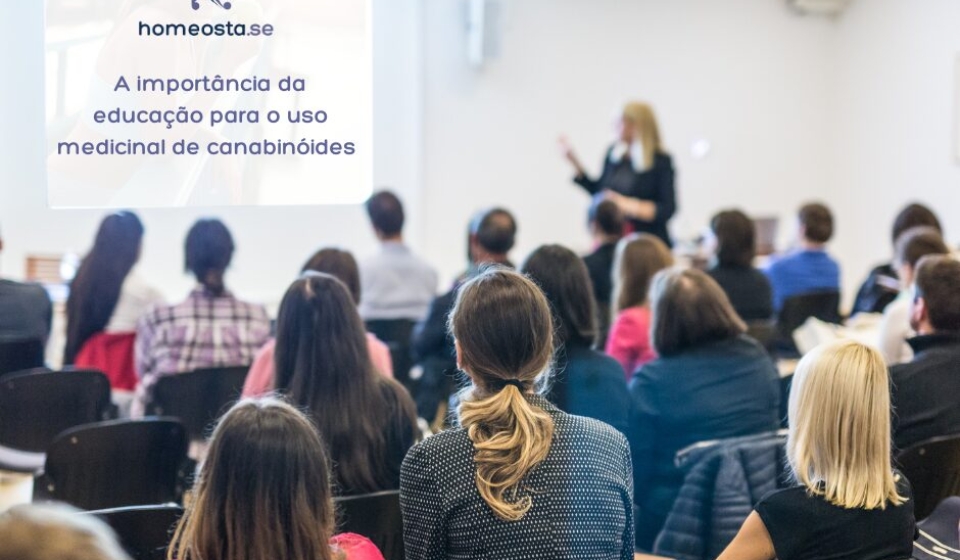 estudos blog
