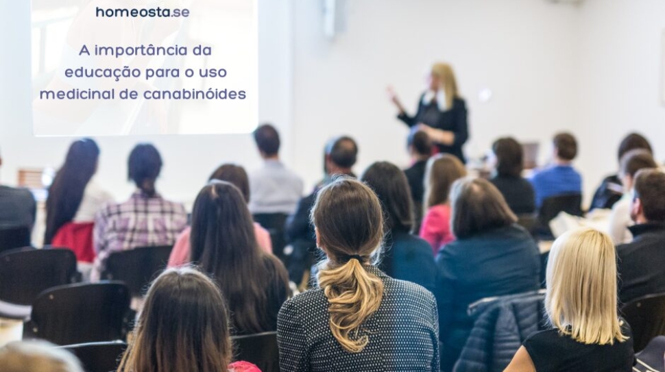estudos blog