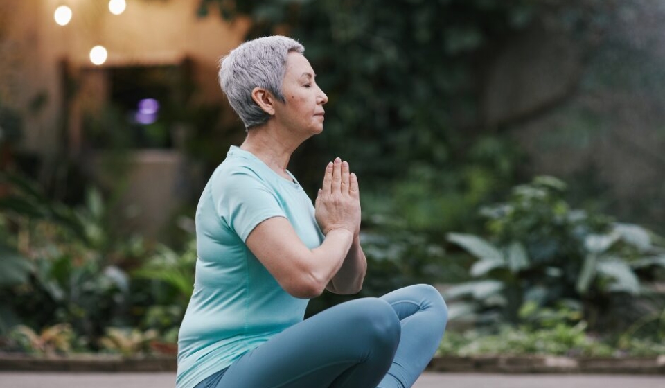 homeostase e bem estar blog