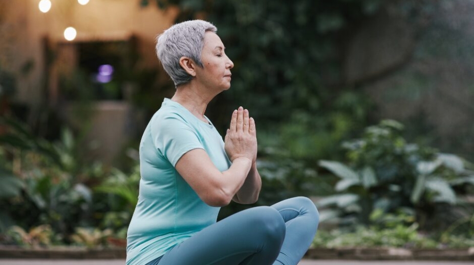 homeostase e bem estar blog